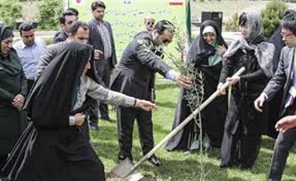 اولین سمینار مشترک ایران و ژاپن با موضوع "زنان، صلح و توسعه پایدار"