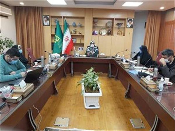 برگزاری سومین نشست مجازی تشکل‌های حامی زنان آسیب‌دیده کشور
