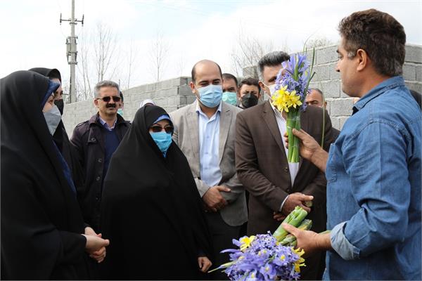 معاون رئیس‌جمهور از مزرعه گل سنبل در شهرستان ساری بازدید کرد
