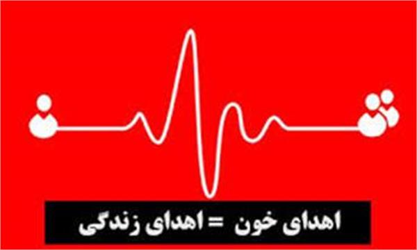 زنان ایرانی در حوزه مشارکت اجتماعی و سلامت پیشتاز هستند