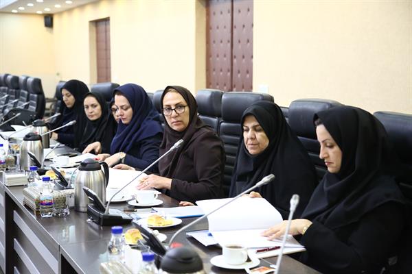 بیستمین جلسه شورای مشاورین امور زنان و خانواده به میزبانی مشاور وزیر در ستاد وزارت