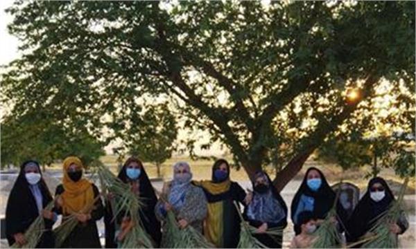 کاشت ۳۰۰۰ نهال مثمر در شمال استان بوشهر