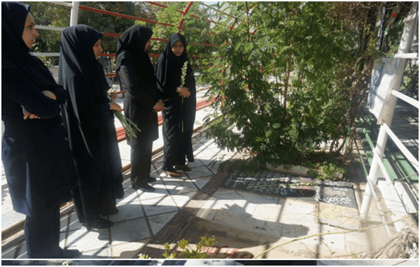 بررسی وضعیت زنان - استان فارس