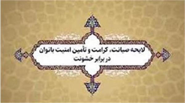 لایحه صیانت ازحقوق زنان دردولت متوقف نیست