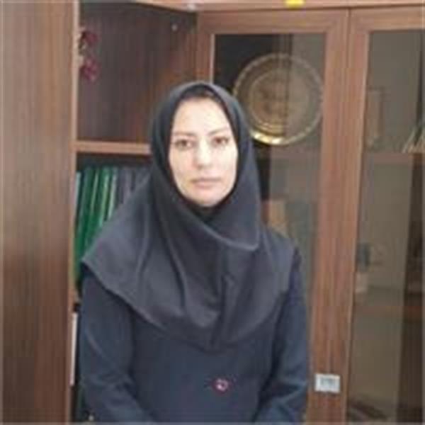 انتصاب شهلا‌ اصولی به سمت مدیر‌کل دفتر پایش‌و‌نظارت بر پیاده‌سازی دولت‌الکترونیک