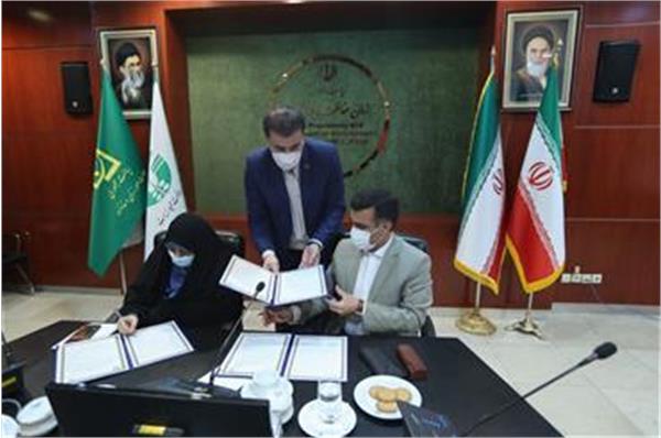 دکتر خزعلی: باید به هر دو جنبه تاثیرپذیری و تاثیرگذاری زنان در تغییرات اقلیمی توجه ویژه شود
