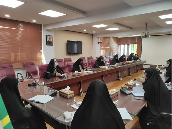 برگزاری نشست هم‌اندیشی معاون رئیس جمهور با صاحبنظران حوزه زنان