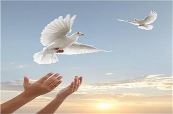 پویش آزاد سازی زندانیان زن جرایم غیر عمد در استان کلید خورد