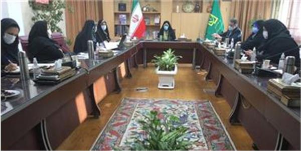 هم پیمانی بین دستگاه ها برای زنان، اقدامی محوری و اصولی بوده است