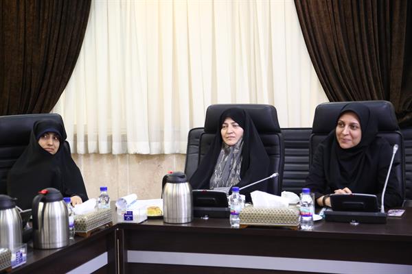 بیستمین جلسه شورای مشاورین امور زنان و خانواده به میزبانی مشاور وزیر در ستاد وزارت